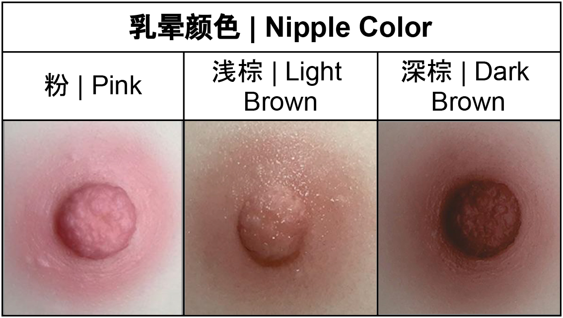 Nipple.jpg