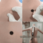 Back Hole