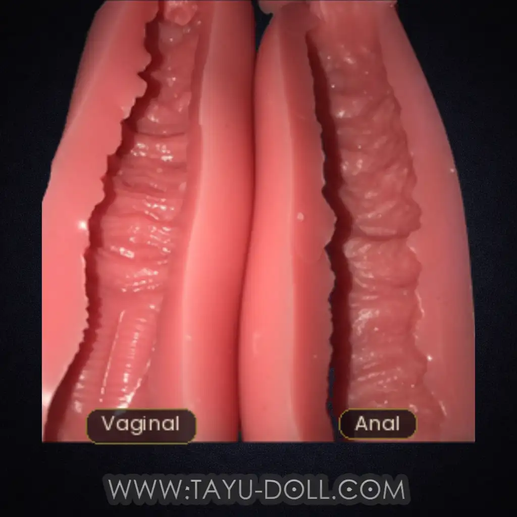 TAYU Insert Collection - Image 2